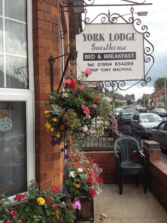 York Lodge Guesthouse الغرفة الصورة